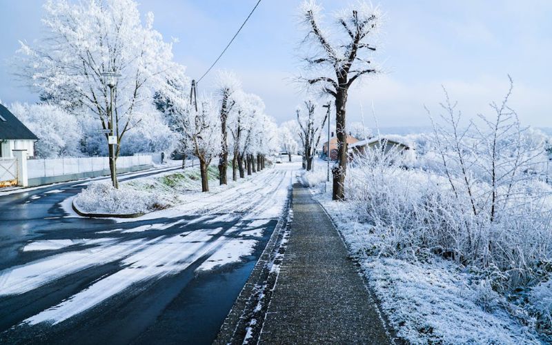 Weather in November in Germany