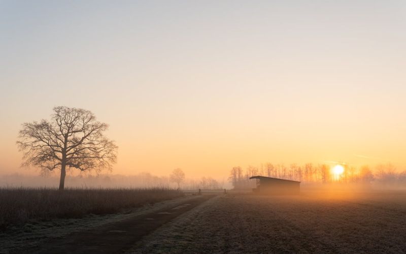 Autumn Weather in Germany 