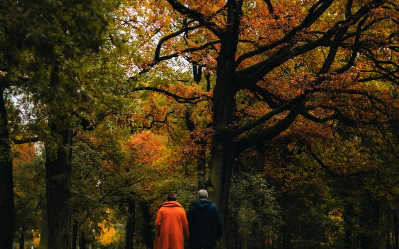 Germany in Autumn